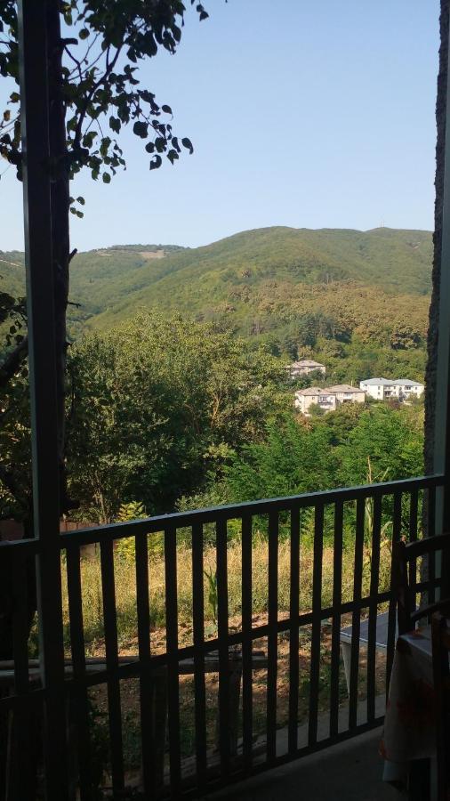Hotel Pirosmani 66 Sighnaghi Exterior foto